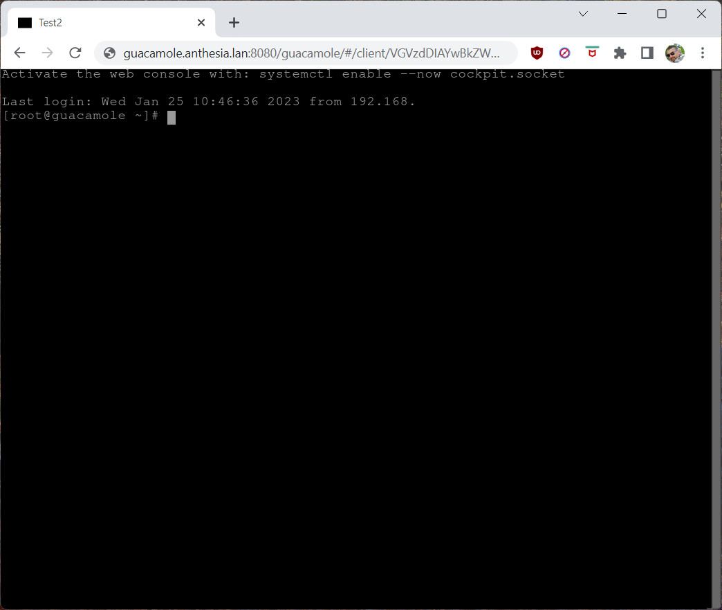 Apache Guacamole Client